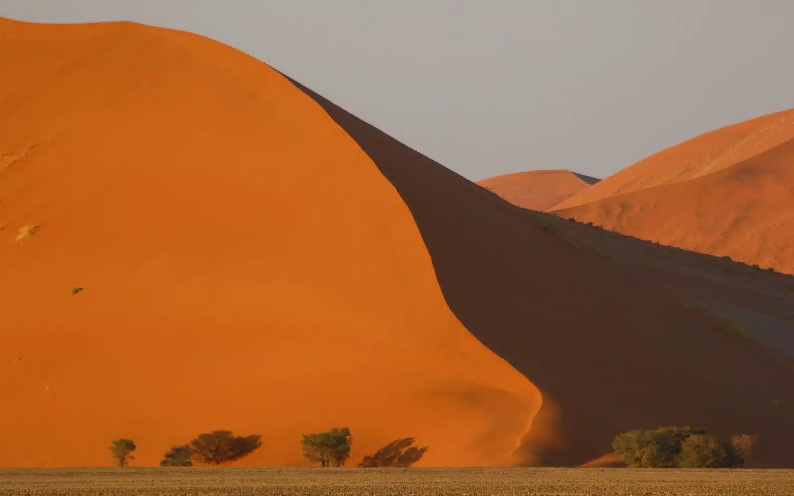 safari namibie désert du namib