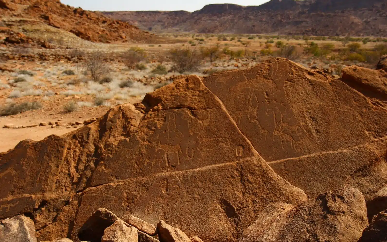 safari namibie paysage