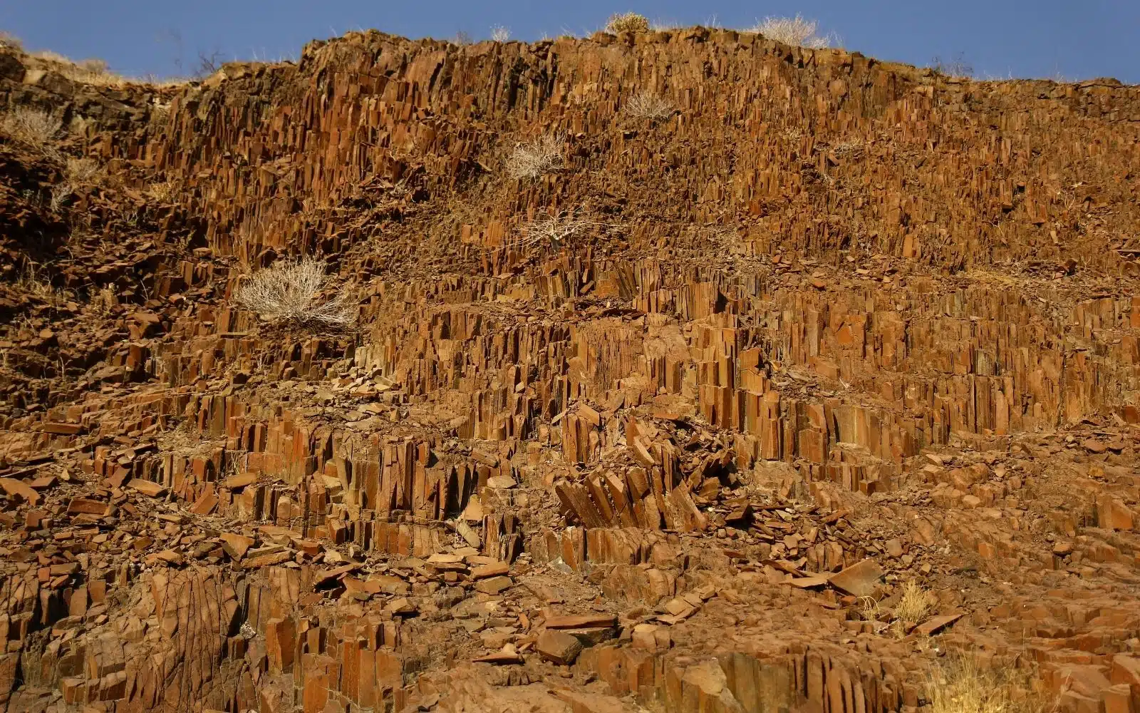 safari namibie roche