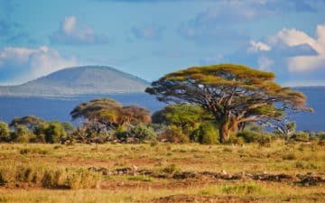 quand partir afrique du sud avril