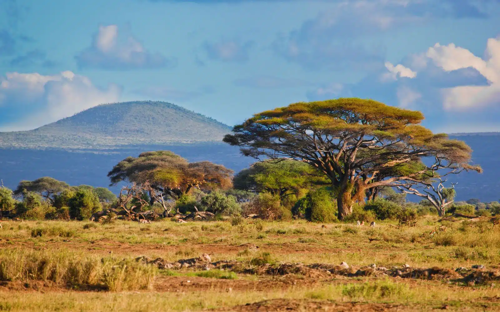 quand partir afrique du sud avril