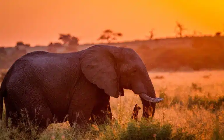 Secrets du Zimbabwe - Zimbabwe | Voyage sur mesure