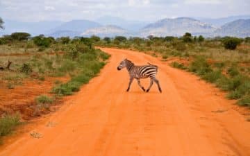 quand partir kenya septembre