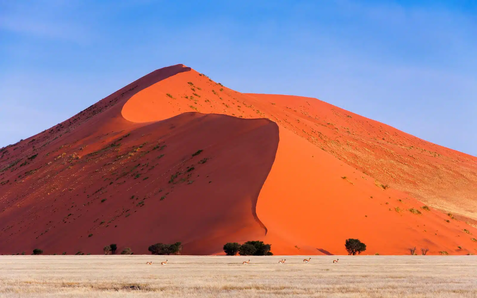 quand partir namibie aout