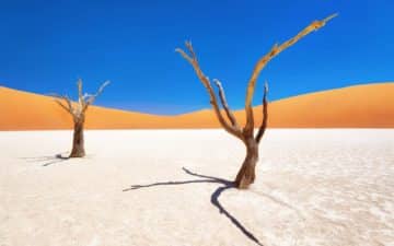 quand partir namibie janvier