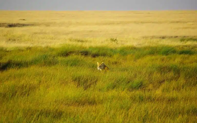 Tanzanie en VO - Tanzanie | En petit groupe