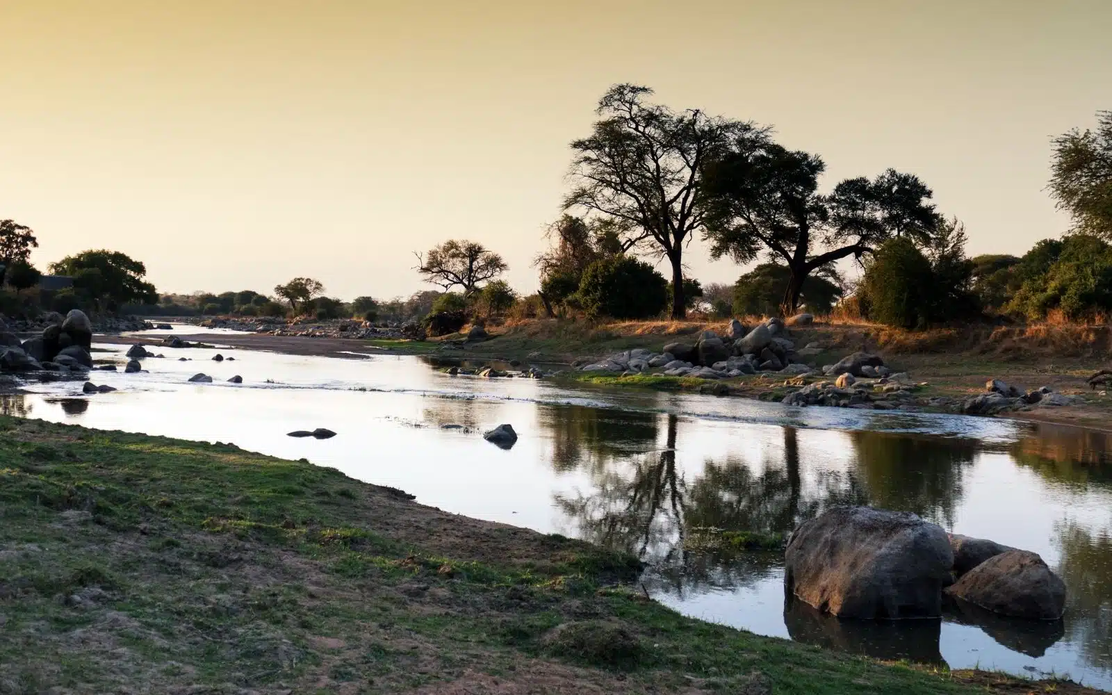 safari tanzanie ruaha national park