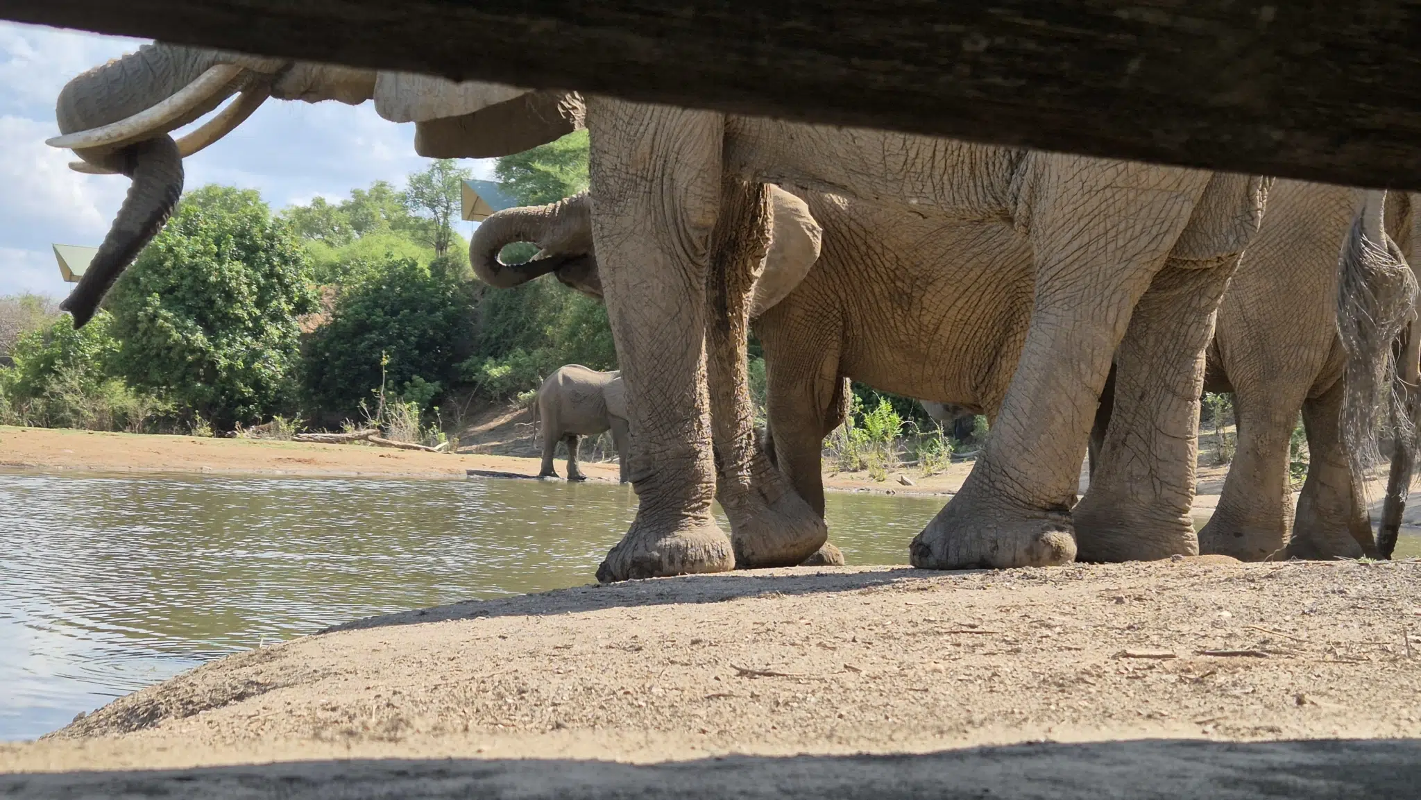 Augustin au Zimbabwe – Partie I